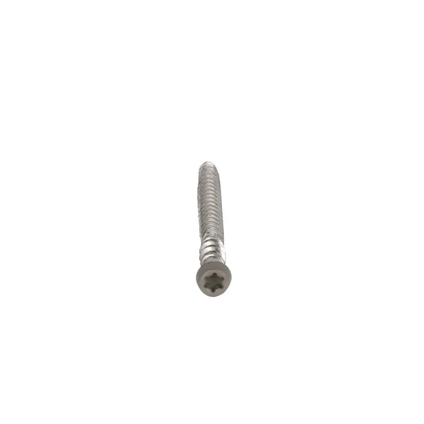 Vlonderschroef | RVS met gekleurde kop | Set à 100 stuks | Silver Gray
