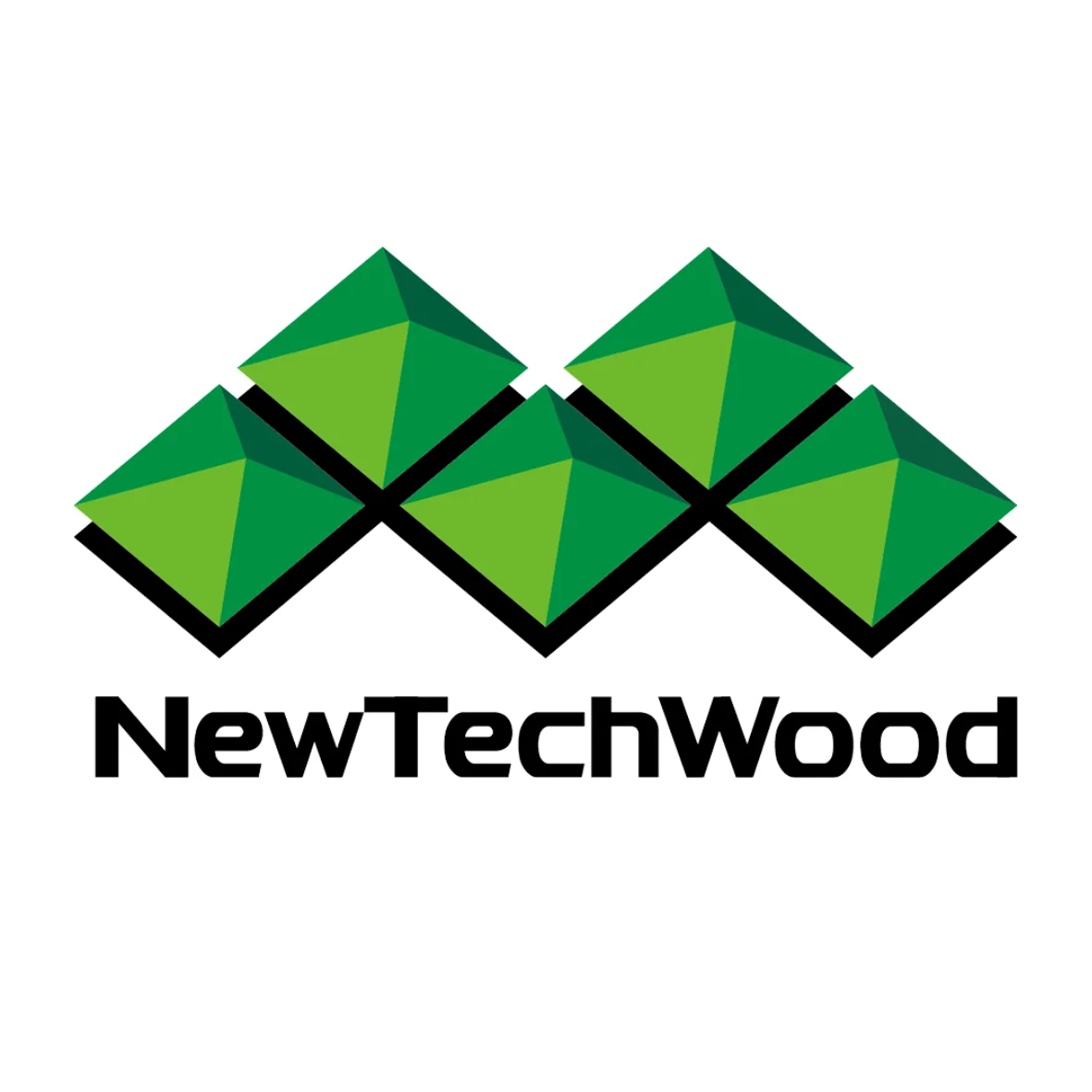 NTW-logo